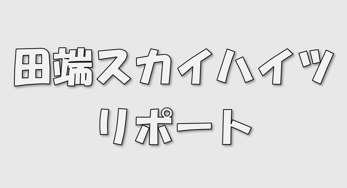 田端スカイハイツリポート